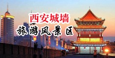 淫水多多中国陕西-西安城墙旅游风景区